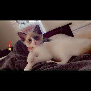 Meet your Posher, Edna